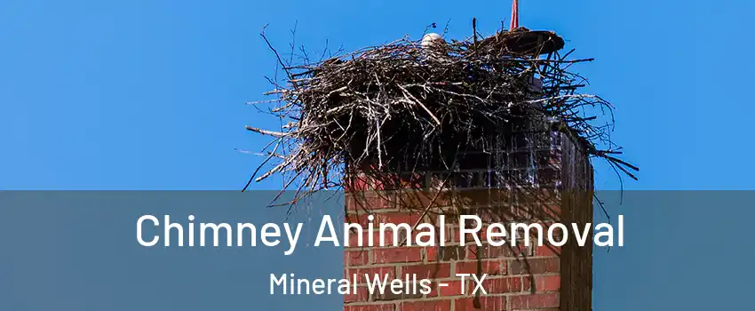  Chimney Animal Removal Mineral Wells - TX