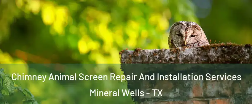  Chimney Animal Screen Repair And Installation Services Mineral Wells - TX
