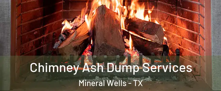  Chimney Ash Dump Services Mineral Wells - TX