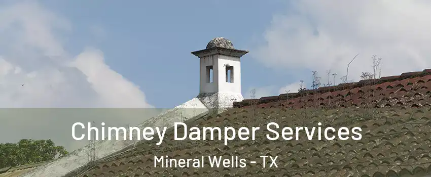  Chimney Damper Services Mineral Wells - TX