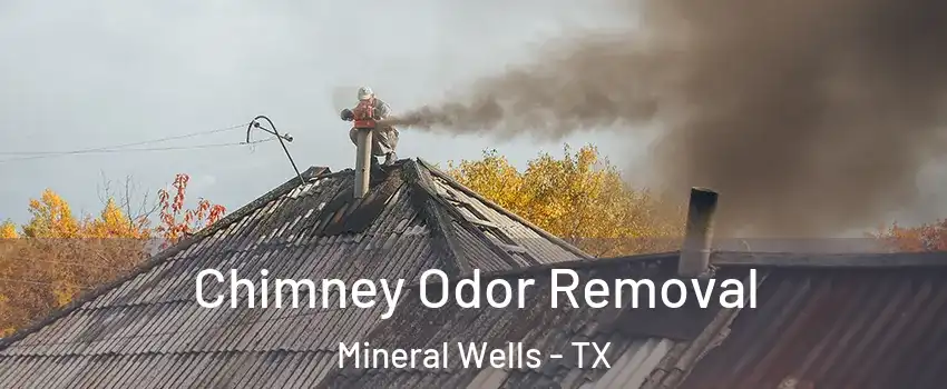  Chimney Odor Removal Mineral Wells - TX