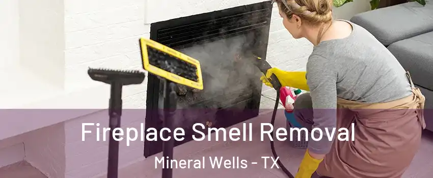  Fireplace Smell Removal Mineral Wells - TX