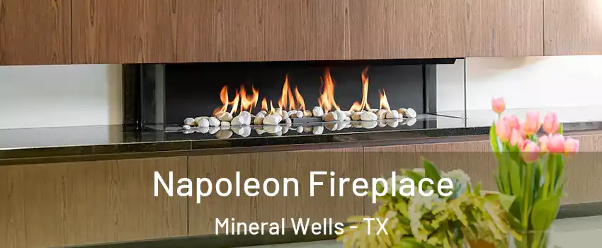  Napoleon Fireplace Mineral Wells - TX