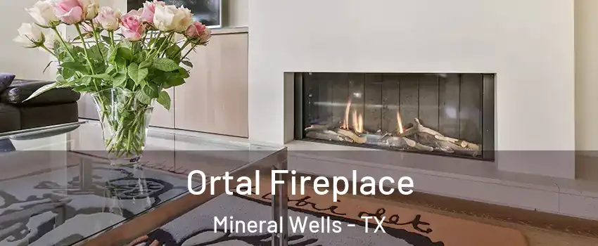  Ortal Fireplace Mineral Wells - TX